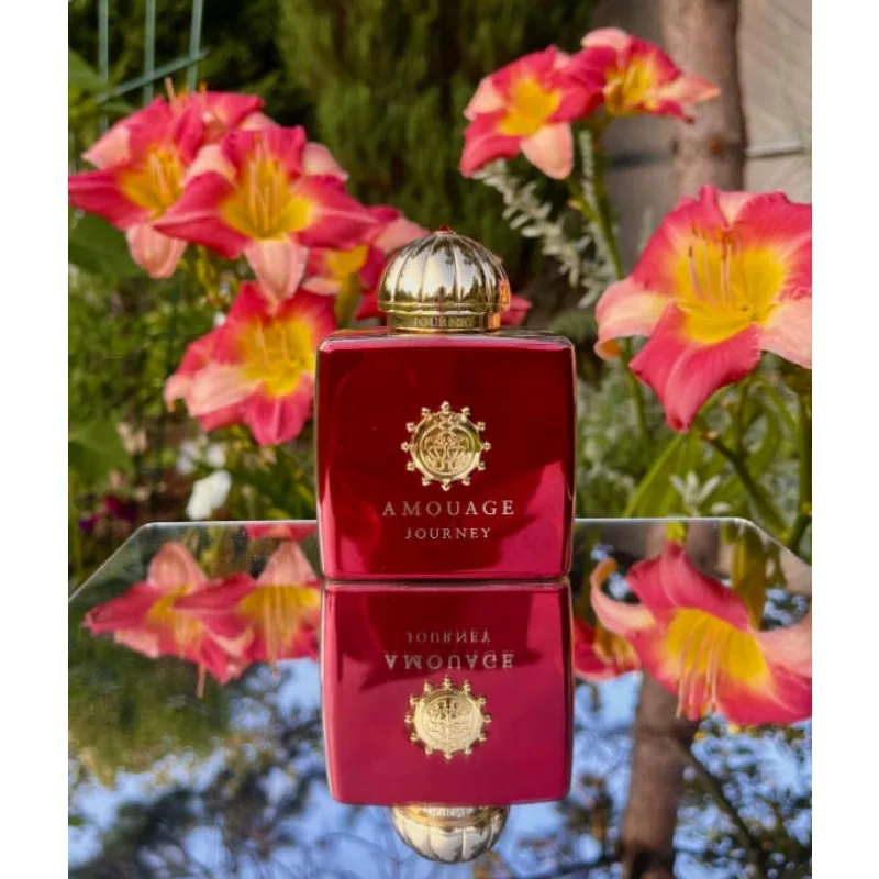 Kf Sc197da0c41c5464da480a5c683f790546