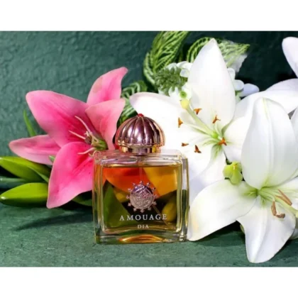 Kf Sefb2112c4b8348b5959ab73b92769451h